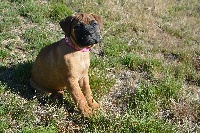 Lolita